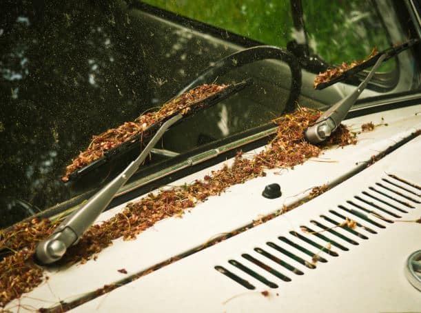 Qué es el filtro de polen del coche y cómo funciona