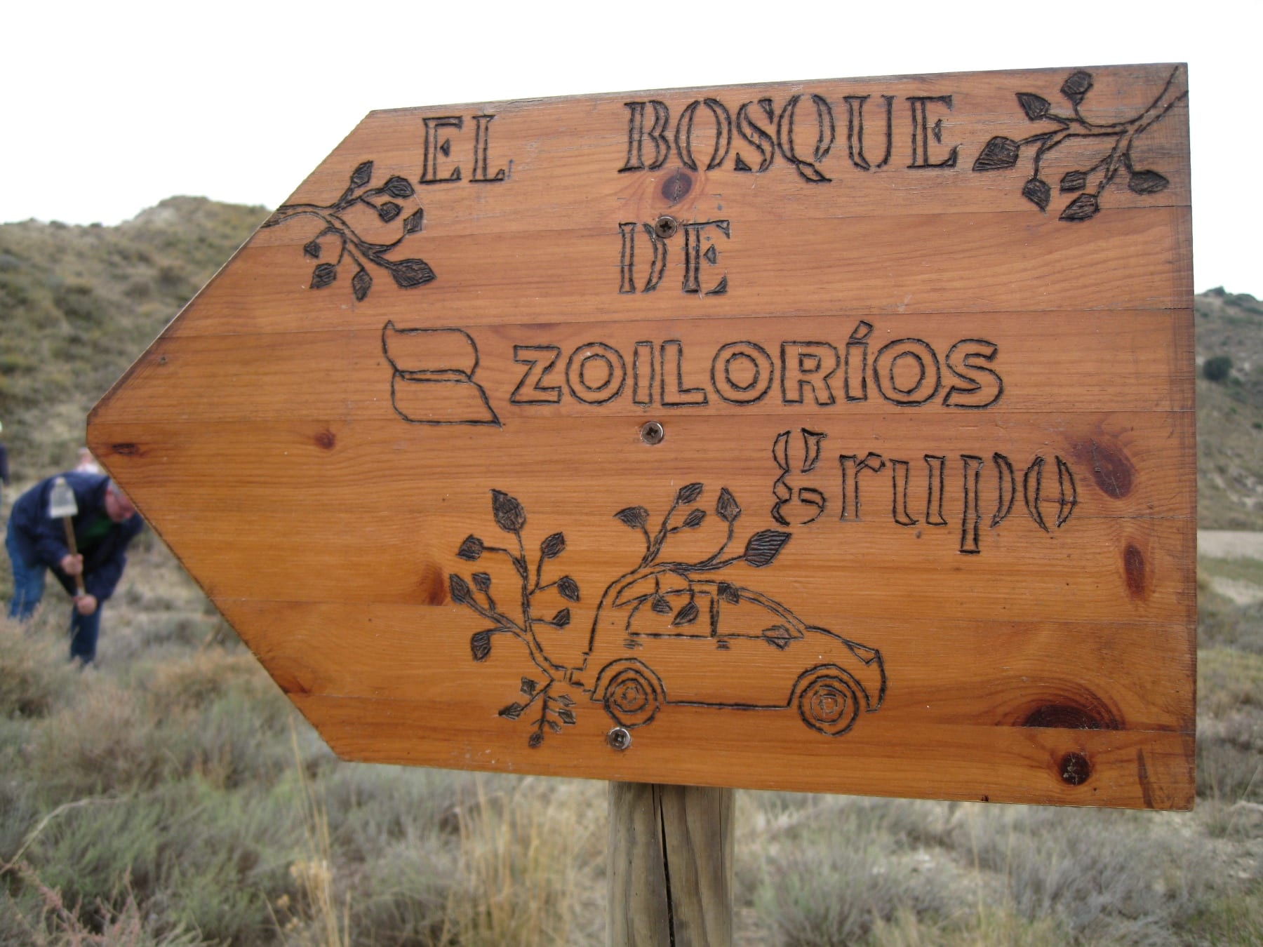 Más de 30 nuevos árboles en la sierra de Alcubierre gracias a los empleados del Grupo Zoilo Ríos